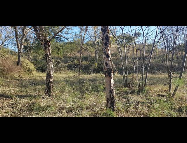 4,003M² VACANT LAND FOR SALE IN ALBERT FALLS